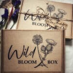 wild bloom box