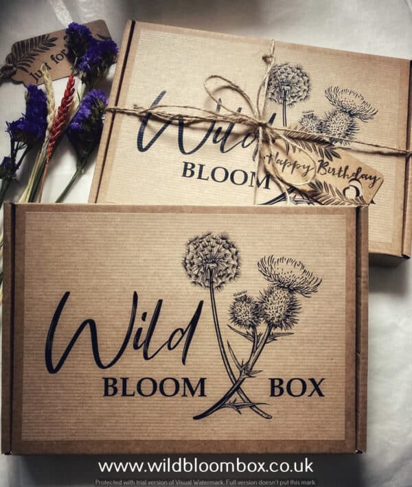 wild bloom box