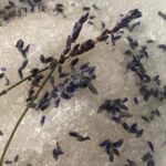 lavender on white background