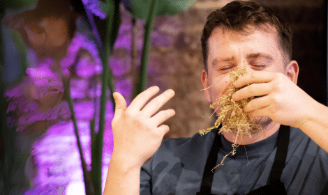 man smelling hay with purple background