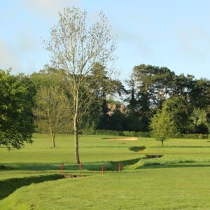 golf course, fairway and trees